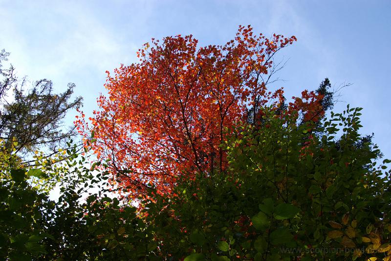 IMGP1166.jpg