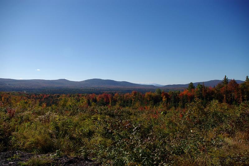 IMGP1192.jpg