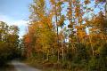 IMGP1089