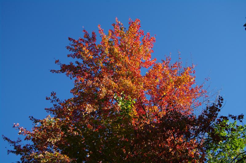IMGP1636.JPG