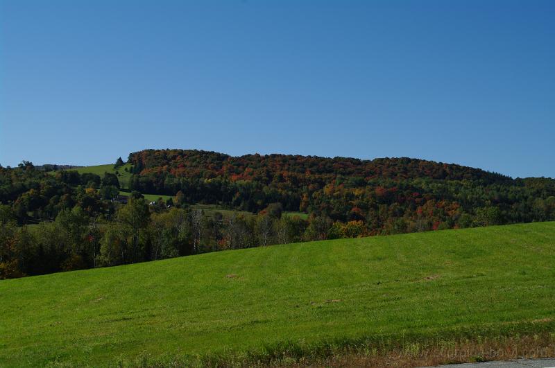 IMGP1695.JPG