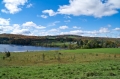 IMGP6056