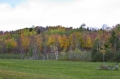 IMGP6086