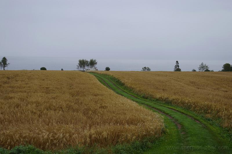 Gaspe_Sep2007_007.jpg