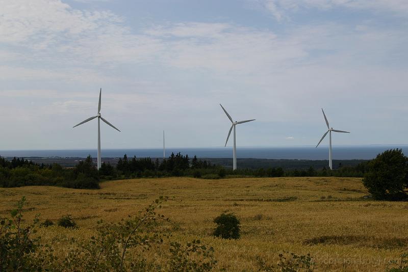 Gaspe_Sep2007_417.jpg