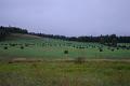 Gaspe_Sep2007_001