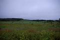Gaspe_Sep2007_002