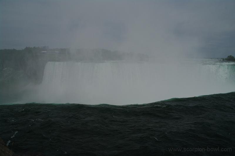 IMGP0513.JPG