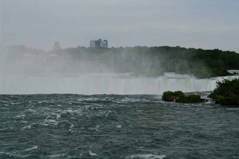 IMGP0517.JPG