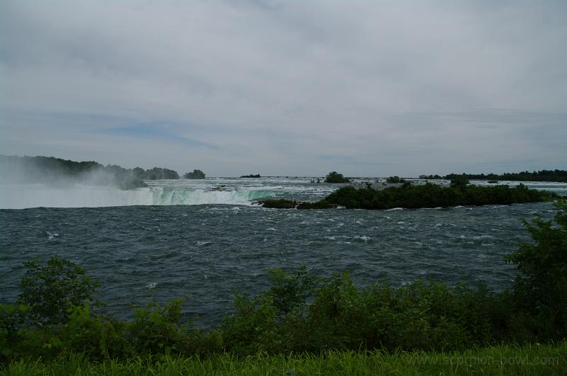 IMGP0519.JPG