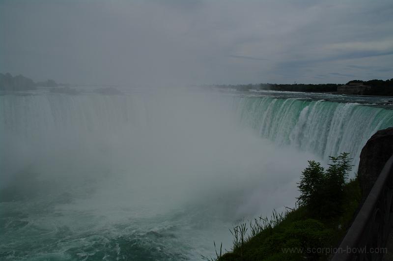 IMGP0520.JPG