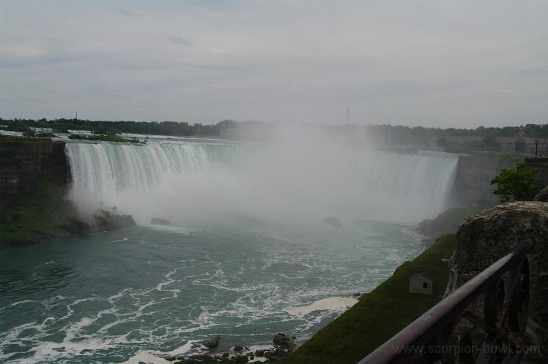 IMGP0540.JPG