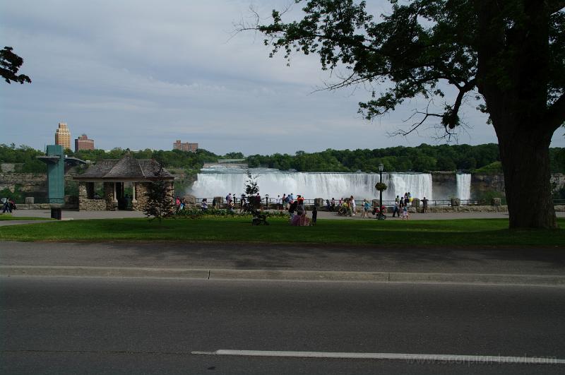 IMGP0595.JPG