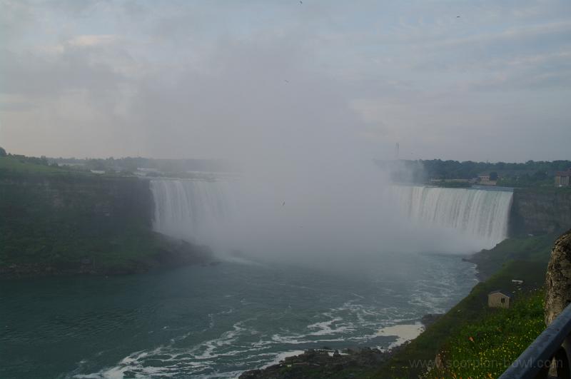 IMGP0876.JPG