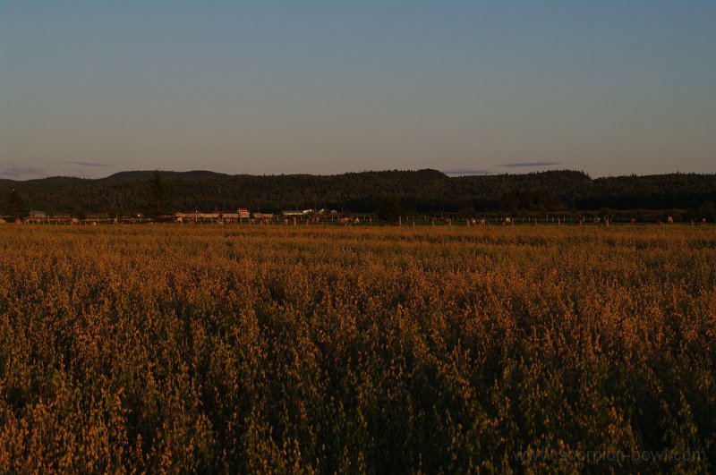 IMGP1215.jpg