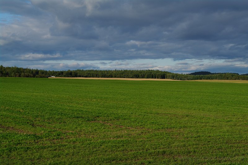 IMGP1368.JPG