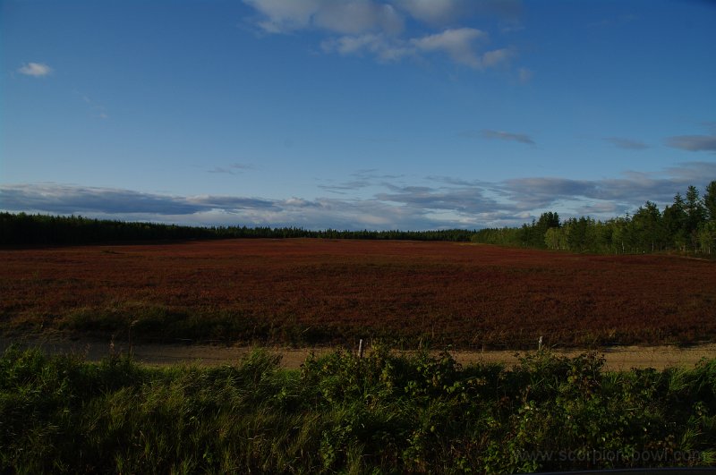 IMGP1372.JPG