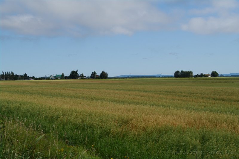 IMGP1385.JPG