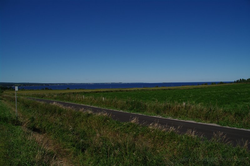 IMGP1416.jpg
