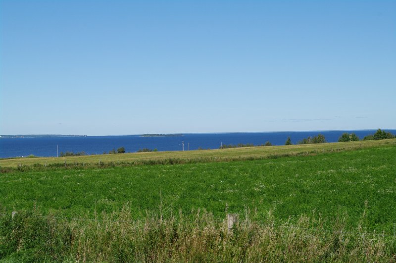 IMGP1418.jpg