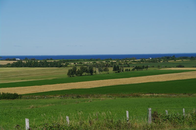 IMGP1423.jpg
