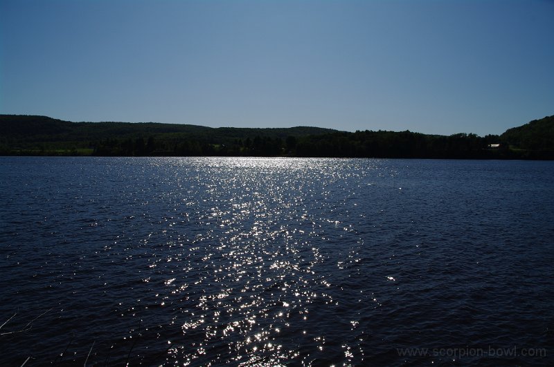 IMGP1437.jpg